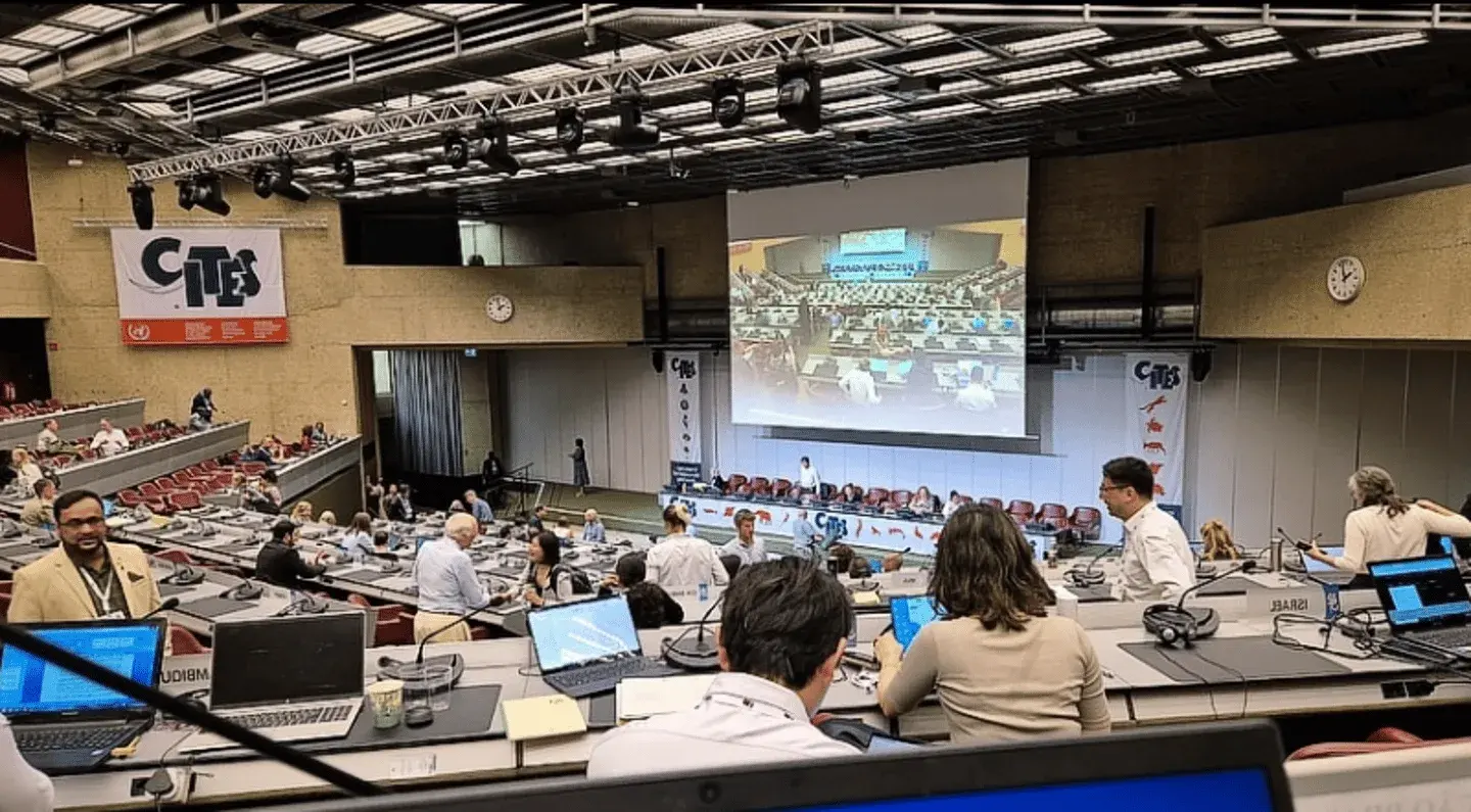 Nova Abrase participa de reunião da CITES, em Genebra